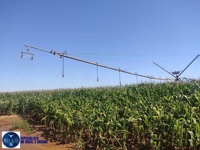 Fazenda para Venda em Santa Rita do Novo Destino - 4