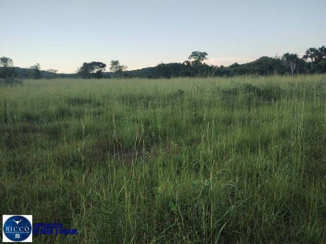 Chácara para Venda em Araguapaz - 5