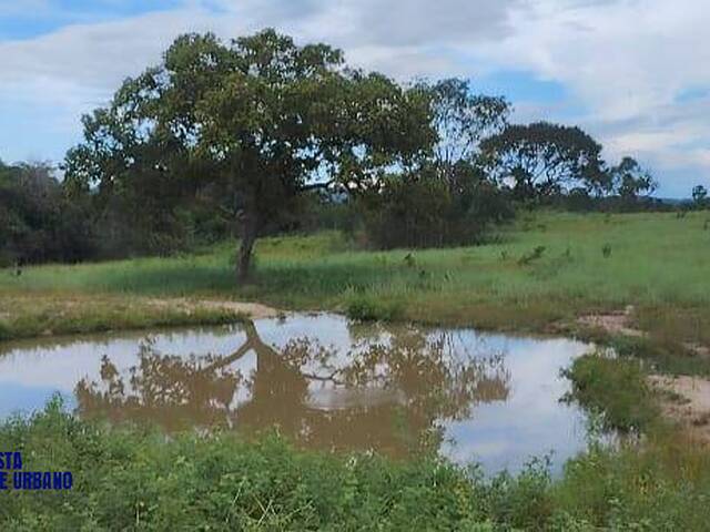 Chácara para Venda em Araguapaz - 4
