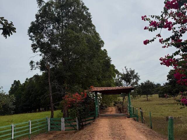 Chácara para Venda em Trindade - 2