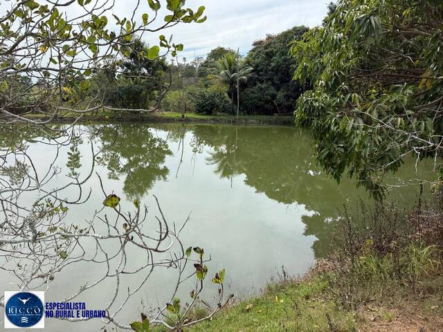 Chácara para Venda em Trindade - 5