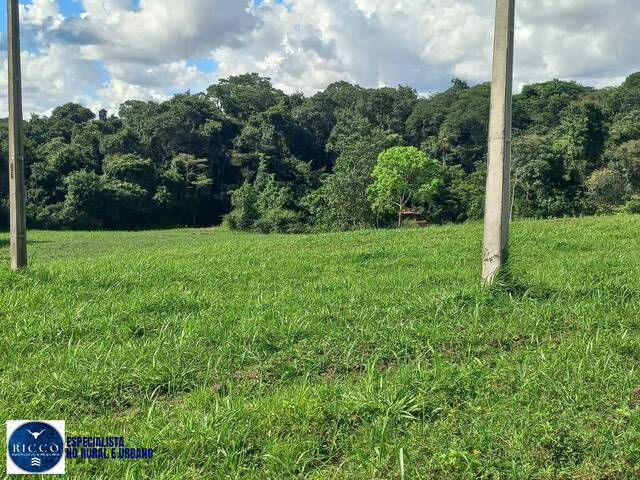 Chácara para Venda em Leopoldo de Bulhões - 3