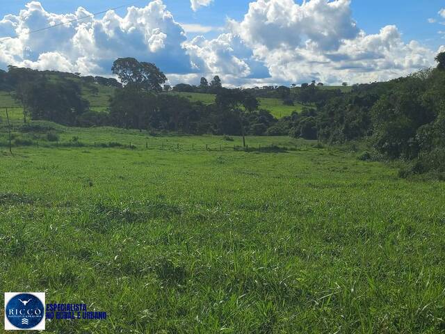 Chácara para Venda em Leopoldo de Bulhões - 4