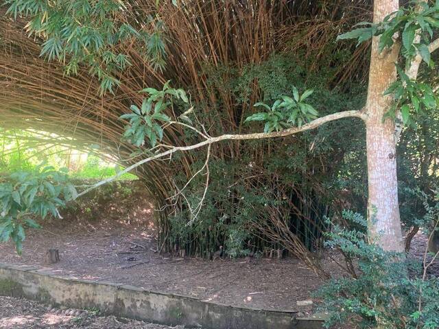 Chácara para Venda em Santa Cruz de Goiás - 4