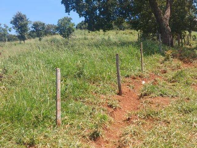 Fazenda para Venda em Barro Alto - 4
