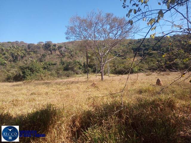 #4379 - Fazenda para Venda em Cocalzinho de Goiás - GO