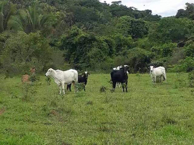 #4379 - Fazenda para Venda em Cocalzinho de Goiás - GO