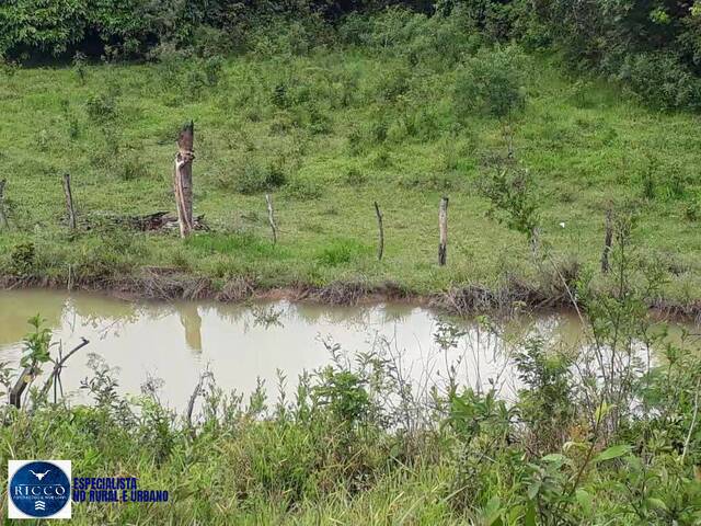 Fazenda para Venda em Cocalzinho de Goiás - 4