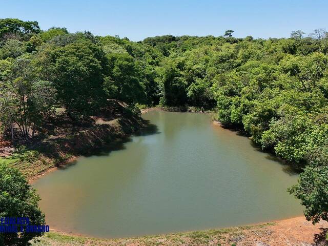 Chácara para Venda em Bela Vista de Goiás - 2