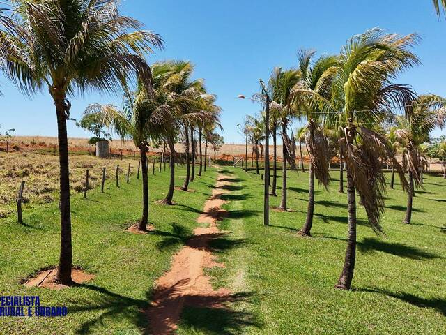 Venda em zona rural - Bela Vista de Goiás