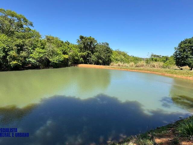 Chácara para Venda em Bela Vista de Goiás - 5