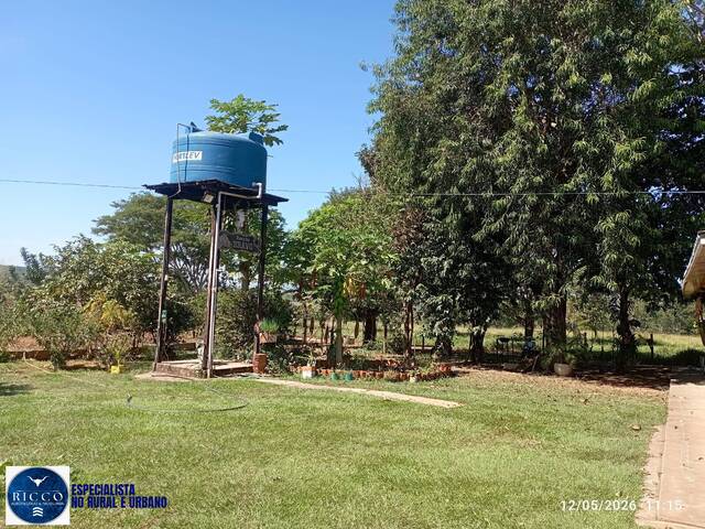 Chácara para Venda em Trindade - 4