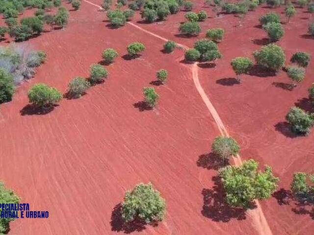 Fazenda para Venda em Mara Rosa - 4