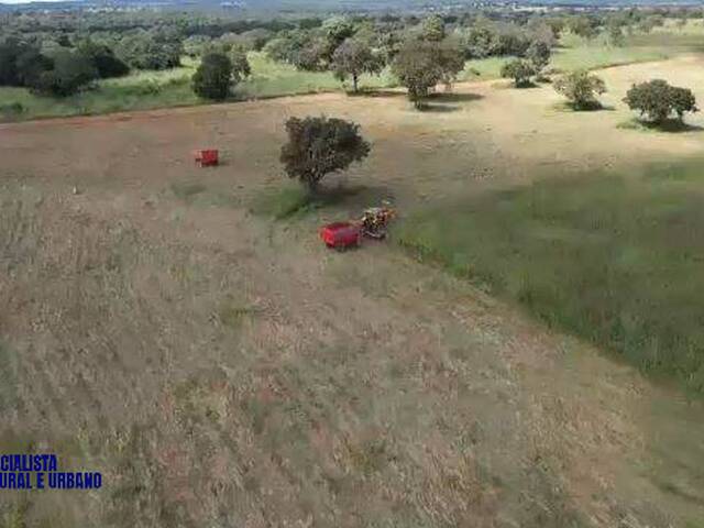 #4384 - Fazenda para Venda em Mara Rosa - GO