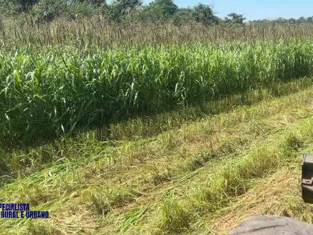 Fazenda para Venda em Mara Rosa - 5
