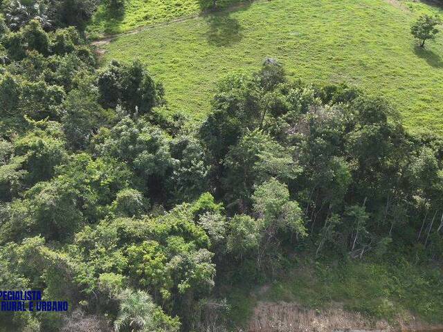 Chácara para Venda em Goiás - 4