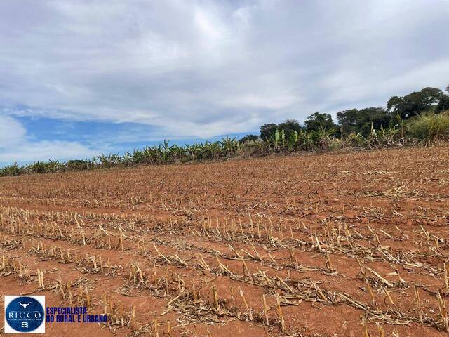Chácara para Venda em Itauçu - 3