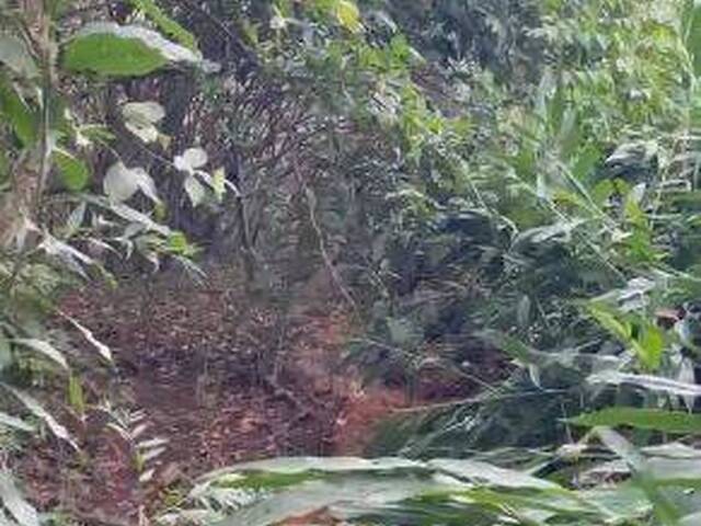 Chácara para Venda em Itauçu - 5