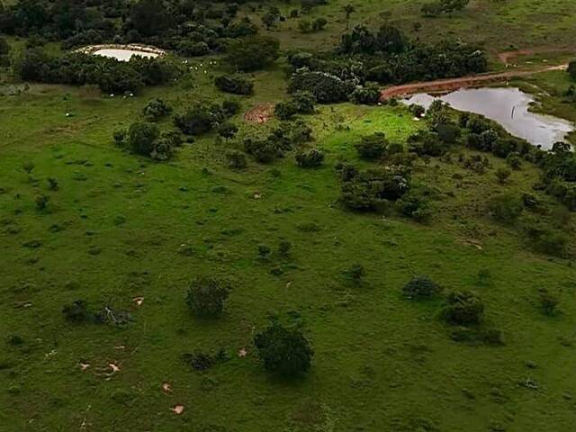 Fazenda para Venda em Nova Crixás - 2