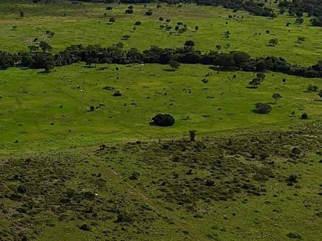 Fazenda para Venda em Nova Crixás - 4