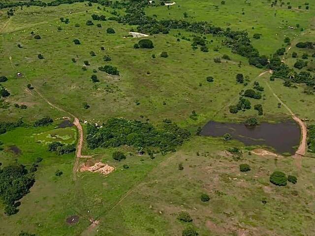 Fazenda para Venda em Nova Crixás - 3