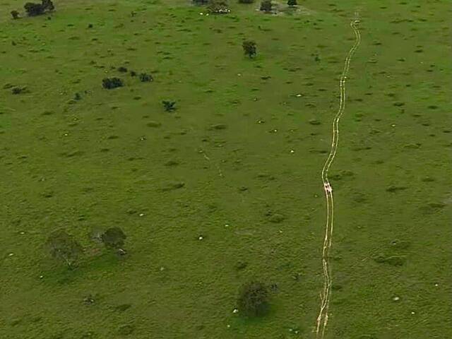 Fazenda para Venda em Nova Crixás - 5