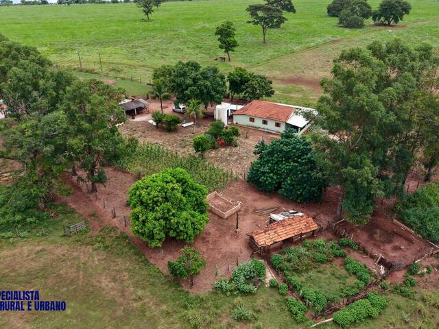 #4390 - Fazenda para Venda em Aparecida de Goiânia - GO