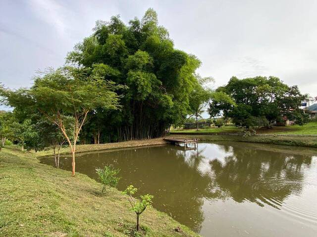 Chácara para Venda em Taquaral de Goiás - 2
