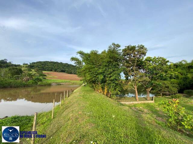 Chácara para Venda em Taquaral de Goiás - 4