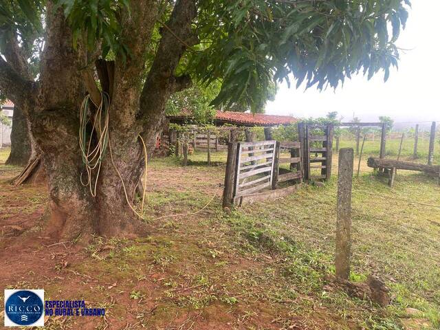 Chácara para Venda em Taquaral de Goiás - 5