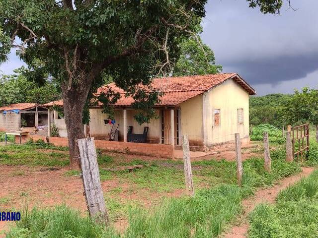 Chácara para Venda em Cezarina - 4