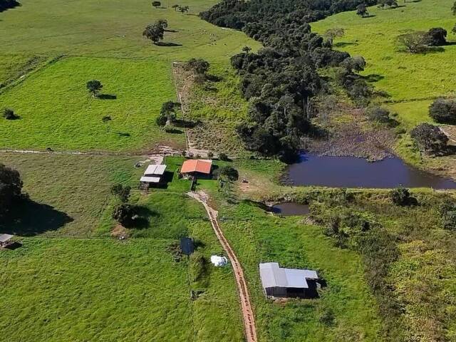 Fazenda para Venda em Itauçu - 2