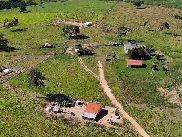 Fazenda para Venda em Itauçu - 3