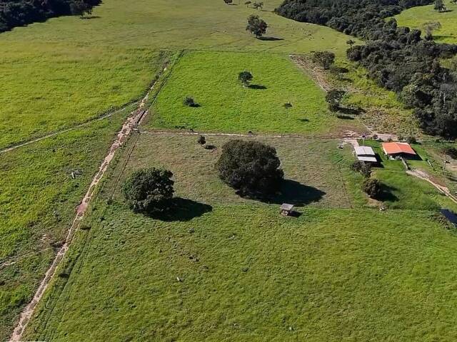 Fazenda para Venda em Itauçu - 5