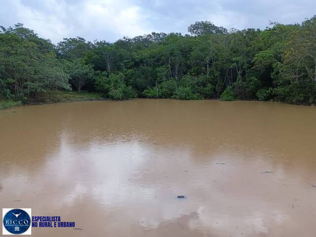#4402 - Fazenda para Venda em Água Fria de Goiás - GO