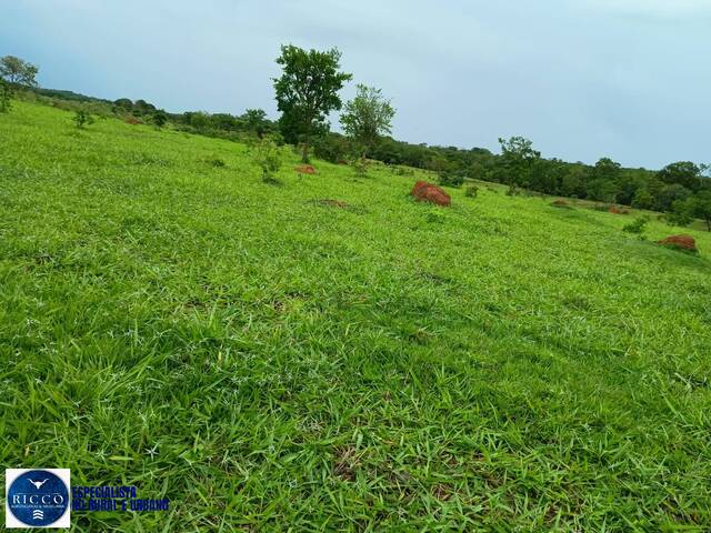 #4402 - Fazenda para Venda em Água Fria de Goiás - GO