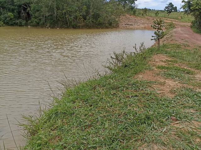 Fazenda para Venda em Água Fria de Goiás - 4
