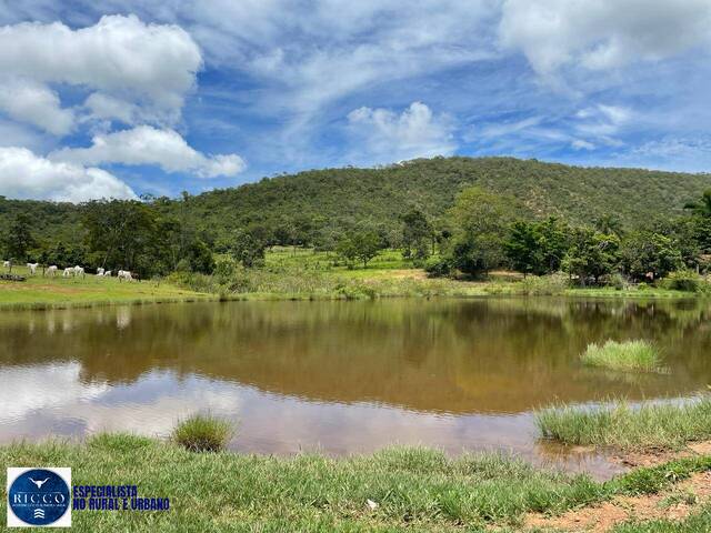#4404 - Fazenda para Venda em Santa Cruz de Goiás - GO