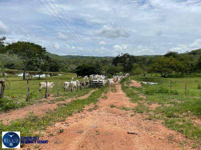 #4404 - Fazenda para Venda em Santa Cruz de Goiás - GO