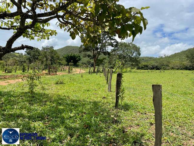 #4404 - Fazenda para Venda em Santa Cruz de Goiás - GO