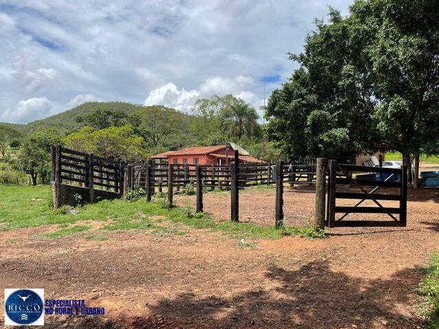 Fazenda para Venda em Santa Cruz de Goiás - 5