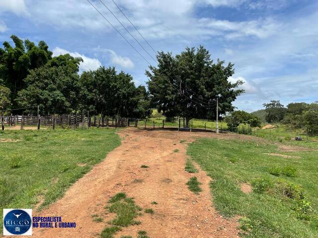 Fazenda para Venda em Santa Cruz de Goiás - 4