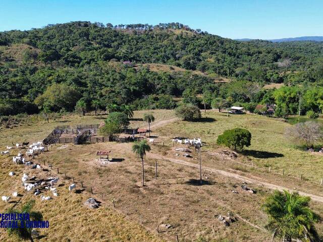 Fazenda para Venda em Crixás - 3