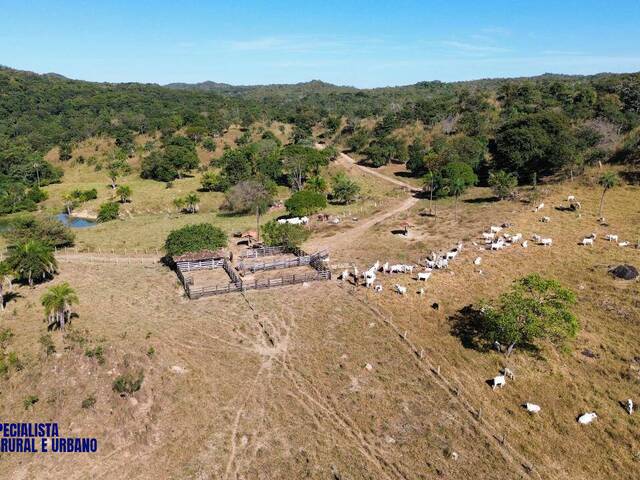 Fazenda para Venda em Crixás - 2