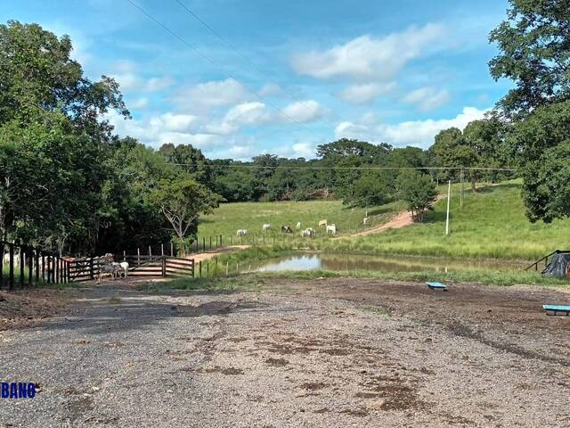 #4406 - Sítio para Venda em Goiás - GO
