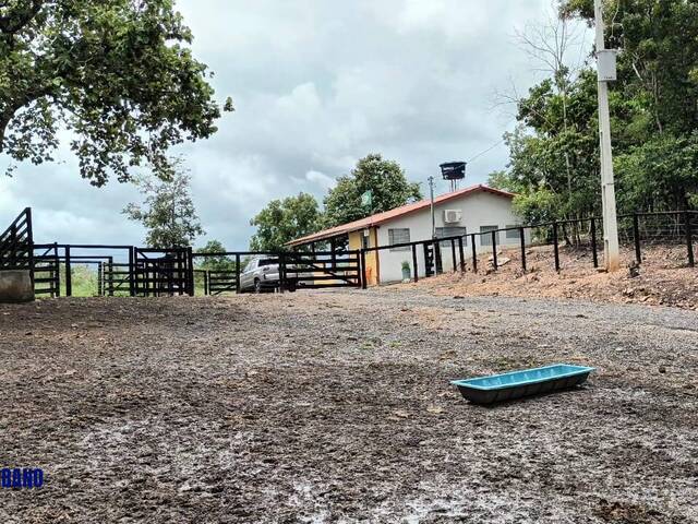 Sítio para Venda em Goiás - 5