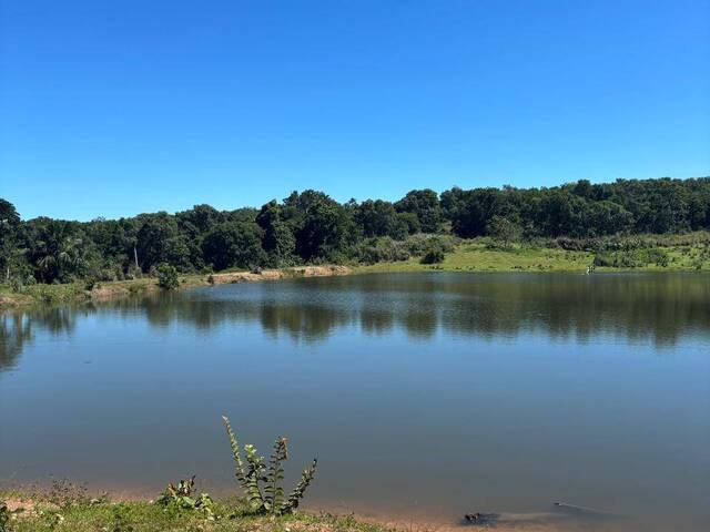 Fazenda para Venda em Faina - 2