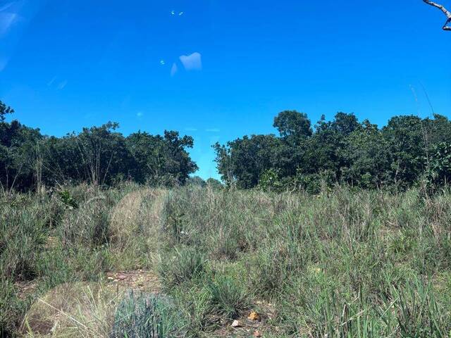 Fazenda para Venda em Faina - 3