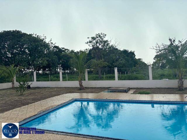 Fazenda para Venda em Faina - 5