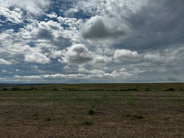 Fazenda para Venda em Corumbaíba - 2